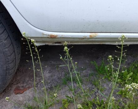 Белый Рено Кенгу, объемом двигателя 1.9 л и пробегом 293 тыс. км за 2800 $, фото 6 на Automoto.ua