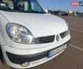 Белый Рено Кенгу, объемом двигателя 1.9 л и пробегом 295 тыс. км за 4500 $, фото 6 на Automoto.ua