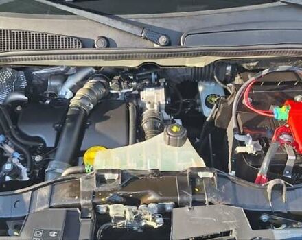 Рено Кенгу 2014 в Новоархангельске на Automoto.ua Белый Рено Кенгу, объемом двигателя 1.5 л и пробегом 64 тыс. км за 12500 $, фото 37 на Automoto.ua