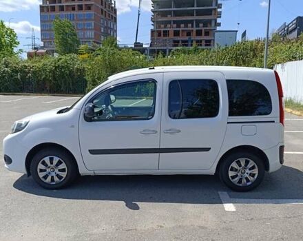 Белый Рено Кенгу, объемом двигателя 1.46 л и пробегом 312 тыс. км за 8800 $, фото 4 на Automoto.ua