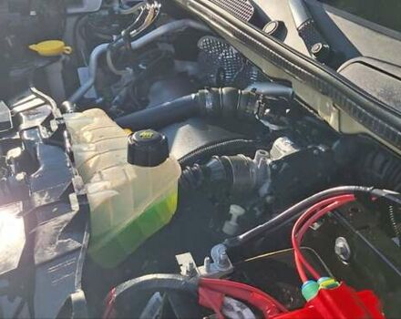 Рено Кенгу 2014 в Новоархангельске на Automoto.ua Белый Рено Кенгу, объемом двигателя 1.5 л и пробегом 64 тыс. км за 12500 $, фото 40 на Automoto.ua