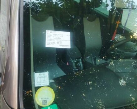 Коричневий Рено Кєнгу, об'ємом двигуна 1.46 л та пробігом 205 тис. км за 8800 $, фото 30 на Automoto.ua