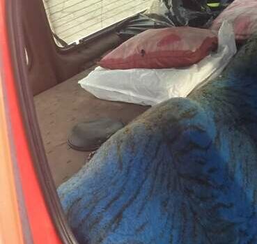 Красный Рено Кенгу, объемом двигателя 1.87 л и пробегом 220 тыс. км за 2600 $, фото 4 на Automoto.ua