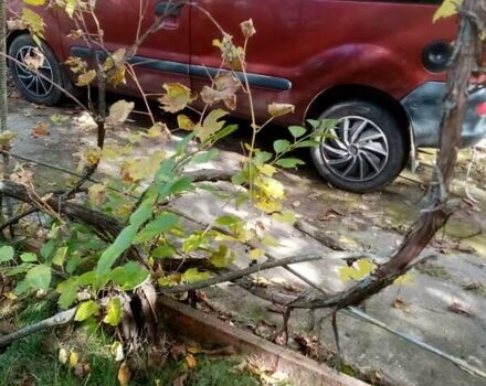 Червоний Рено Кєнгу, об'ємом двигуна 1.87 л та пробігом 380 тис. км за 2600 $, фото 9 на Automoto.ua