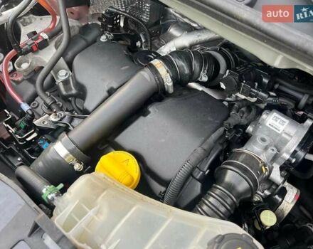 Рено Кенгу 2015 в Киеве на Automoto.ua Красный Рено Кенгу, объемом двигателя 1.5 л и пробегом 205 тыс. км за 12250 $, фото 30 на Automoto.ua