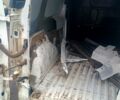 Рено Кєнгу, об'ємом двигуна 1.5 л та пробігом 350 тис. км за 2500 $, фото 1 на Automoto.ua