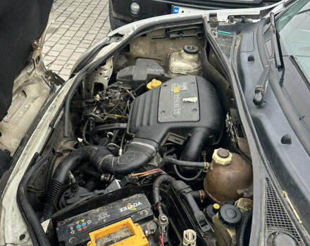 Рено Кенгу, объемом двигателя 1.9 л и пробегом 300 тыс. км за 2700 $, фото 15 на Automoto.ua