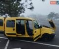 Желтый Рено Кенгу, объемом двигателя 1.5 л и пробегом 303 тыс. км за 3500 $, фото 11 на Automoto.ua