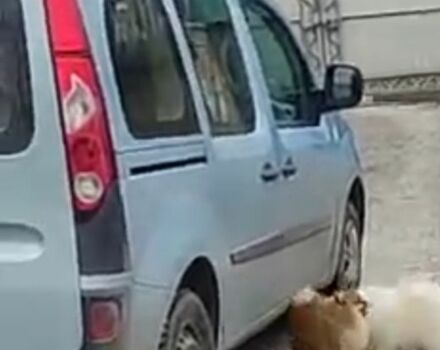 Синий Рено Кенгу, объемом двигателя 1.6 л и пробегом 202 тыс. км за 7317 $, фото 2 на Automoto.ua