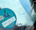 Рено Колеос, объемом двигателя 2 л и пробегом 0 тыс. км за 8500 $, фото 7 на Automoto.ua