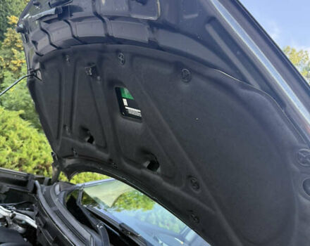 Рено Колеос 2012 в Каневе на Automoto.ua Серый Рено Колеос, объемом двигателя 2 л и пробегом 245 тыс. км за 11600 $, фото 51 на Automoto.ua