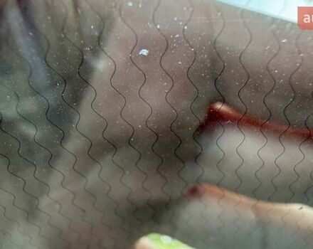 Синий Рено Колеос, объемом двигателя 2 л и пробегом 196 тыс. км за 19900 $, фото 48 на Automoto.ua