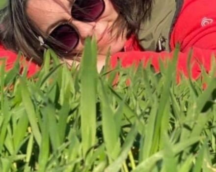 Зеленый Рено Лагуна, объемом двигателя 1.8 л и пробегом 300 тыс. км за 880 $, фото 1 на Automoto.ua