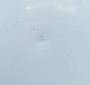 Білий Рено Логан, об'ємом двигуна 1.46 л та пробігом 138 тис. км за 6750 $, фото 8 на Automoto.ua