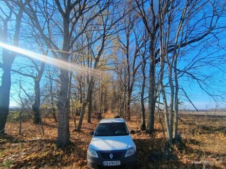 Білий Рено Логан, об'ємом двигуна 1.4 л та пробігом 240 тис. км за 3300 $, фото 1 на Automoto.ua