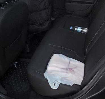 Серый Рено Логан, объемом двигателя 1.46 л и пробегом 79 тыс. км за 10000 $, фото 5 на Automoto.ua