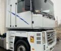 Белый Рено Магнум, объемом двигателя 12.6 л и пробегом 1 тыс. км за 8900 $, фото 1 на Automoto.ua