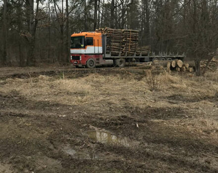 Рено Магнум, об'ємом двигуна 12 л та пробігом 1 тис. км за 4200 $, фото 13 на Automoto.ua