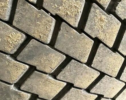 Рено Магнум, объемом двигателя 12 л и пробегом 0 тыс. км за 12000 $, фото 2 на Automoto.ua