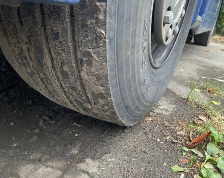 Рено Магнум, об'ємом двигуна 12.9 л та пробігом 1 тис. км за 8500 $, фото 9 на Automoto.ua