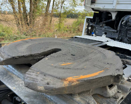 Рено Магнум, объемом двигателя 12 л и пробегом 1 тыс. км за 9800 $, фото 19 на Automoto.ua