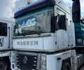 Рено Магнум, объемом двигателя 12 л и пробегом 800 тыс. км за 12000 $, фото 2 на Automoto.ua
