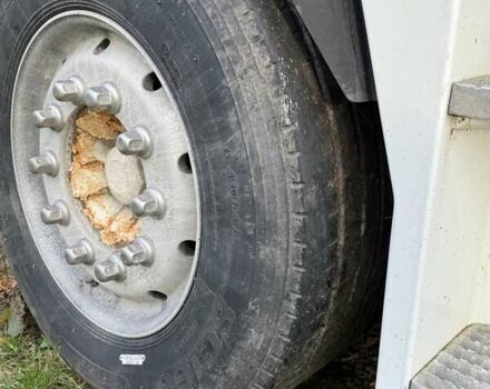 Рено Магнум, объемом двигателя 0 л и пробегом 940 тыс. км за 9000 $, фото 5 на Automoto.ua