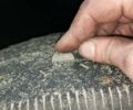 Серый Рено Магнум, объемом двигателя 11.93 л и пробегом 1 тыс. км за 6499 $, фото 11 на Automoto.ua