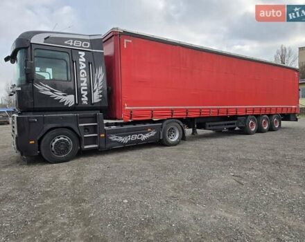 Серый Рено Магнум, объемом двигателя 10.74 л и пробегом 860 тыс. км за 29900 $, фото 1 на Automoto.ua