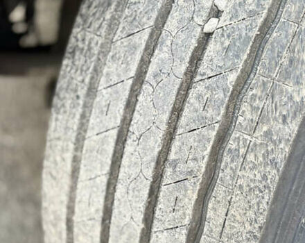 Синий Рено Магнум, объемом двигателя 12.9 л и пробегом 1000 тыс. км за 10000 $, фото 13 на Automoto.ua