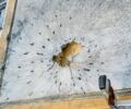 Сірий Рено Mascott, об'ємом двигуна 2.8 л та пробігом 280 тис. км за 6200 $, фото 10 на Automoto.ua