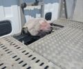 Белый Рено Мастер, объемом двигателя 2.3 л и пробегом 426 тыс. км за 13500 $, фото 5 на Automoto.ua
