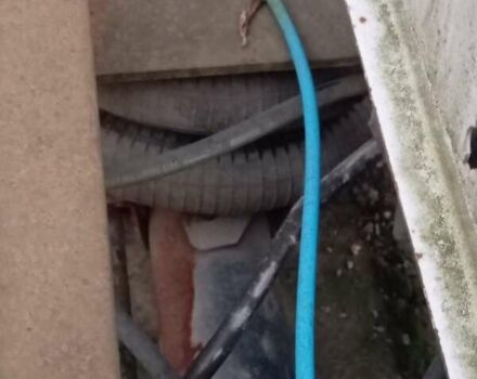 Белый Рено Мастер, объемом двигателя 2.5 л и пробегом 467 тыс. км за 9900 $, фото 7 на Automoto.ua