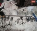 Білий Рено Мастєр, об'ємом двигуна 2.46 л та пробігом 319 тис. км за 7800 $, фото 44 на Automoto.ua