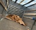 Белый Рено Мастер, объемом двигателя 2.3 л и пробегом 5 тыс. км за 13700 $, фото 16 на Automoto.ua