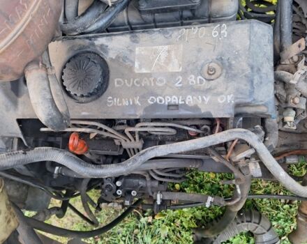 Білий Рено Мастєр, об'ємом двигуна 2.8 л та пробігом 222 тис. км за 1350 $, фото 5 на Automoto.ua