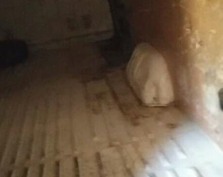 Белый Рено Мастер, объемом двигателя 2.3 л и пробегом 3 тыс. км за 11600 $, фото 1 на Automoto.ua