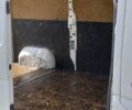 Белый Рено Мастер, объемом двигателя 2.3 л и пробегом 278 тыс. км за 8900 $, фото 7 на Automoto.ua