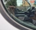 Білий Рено Мастєр, об'ємом двигуна 0 л та пробігом 237 тис. км за 15900 $, фото 22 на Automoto.ua
