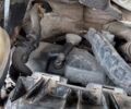 Белый Рено Мастер, объемом двигателя 2.5 л и пробегом 340 тыс. км за 8500 $, фото 9 на Automoto.ua
