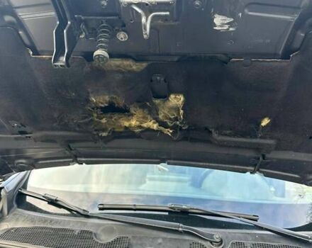 Черный Рено Меган, объемом двигателя 1.5 л и пробегом 256 тыс. км за 8800 $, фото 5 на Automoto.ua