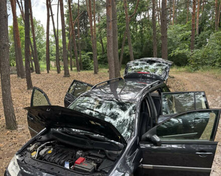 Сірий Рено Меган, об'ємом двигуна 1.6 л та пробігом 240 тис. км за 5400 $, фото 23 на Automoto.ua