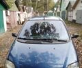 Синий Рено Меган, объемом двигателя 0 л и пробегом 340 тыс. км за 2800 $, фото 1 на Automoto.ua