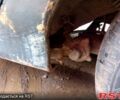Зеленый Рено Меган, объемом двигателя 1.6 л и пробегом 300 тыс. км за 430 $, фото 3 на Automoto.ua