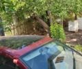 Красный Рено Модус, объемом двигателя 1.5 л и пробегом 242 тыс. км за 4500 $, фото 5 на Automoto.ua