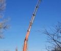 Рено Премиум, объемом двигателя 11.1 л и пробегом 600 тыс. км за 50000 $, фото 2 на Automoto.ua