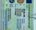 Черный Рено Сценик, объемом двигателя 1.6 л и пробегом 250 тыс. км за 4750 $, фото 19 на Automoto.ua