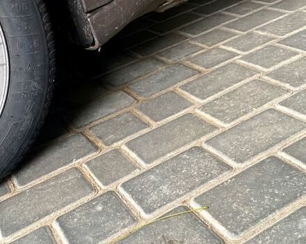 Рено Сценик 2010 в Одессе на Automoto.ua Коричневый Рено Сценик, объемом двигателя 1.5 л и пробегом 189 тыс. км за 6100 $, фото 9 на Automoto.ua