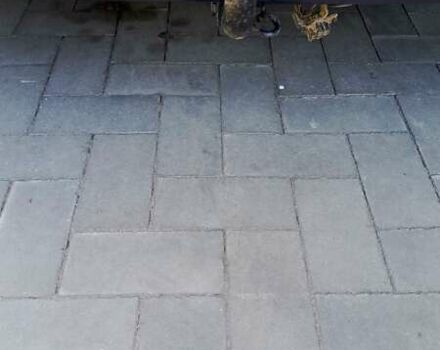 Серый Рено Сценик, объемом двигателя 1.6 л и пробегом 323 тыс. км за 4750 $, фото 23 на Automoto.ua