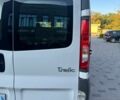 Білий Рено Трафік, об'ємом двигуна 2 л та пробігом 237 тис. км за 12950 $, фото 24 на Automoto.ua